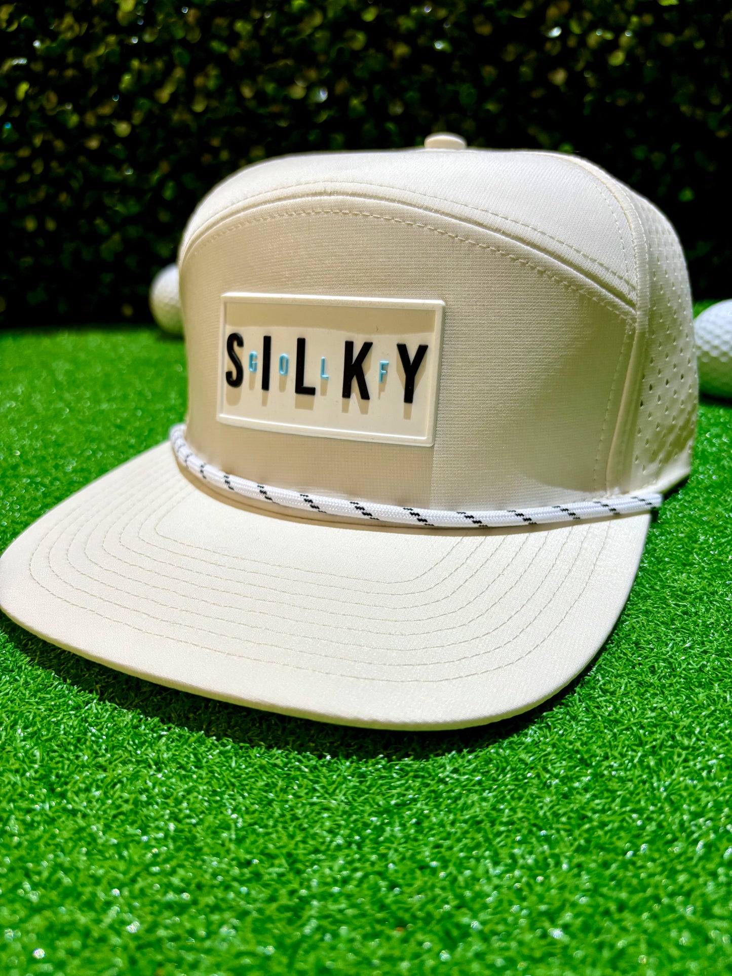 S I L K Y